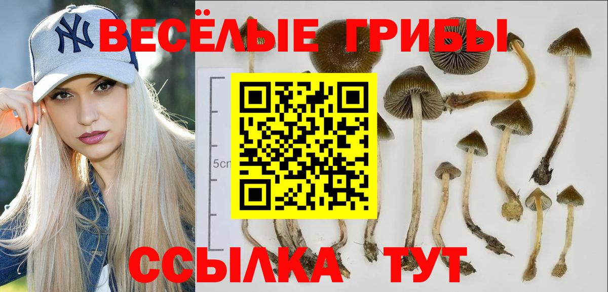 Псилоцибиновые грибы ЛСД Чусовой